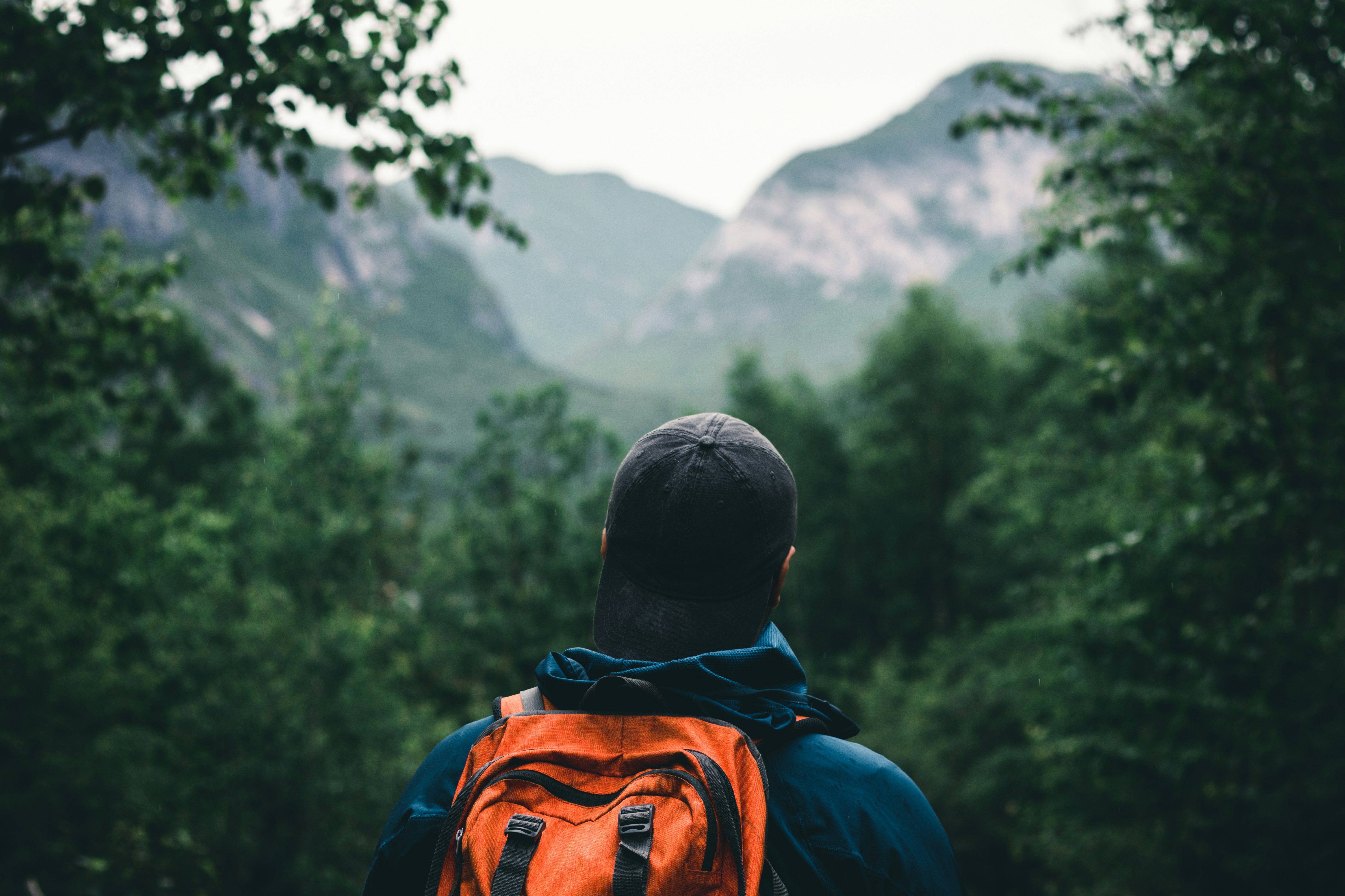 Mindset — person overlooking forest and mountains with hiking backpack
